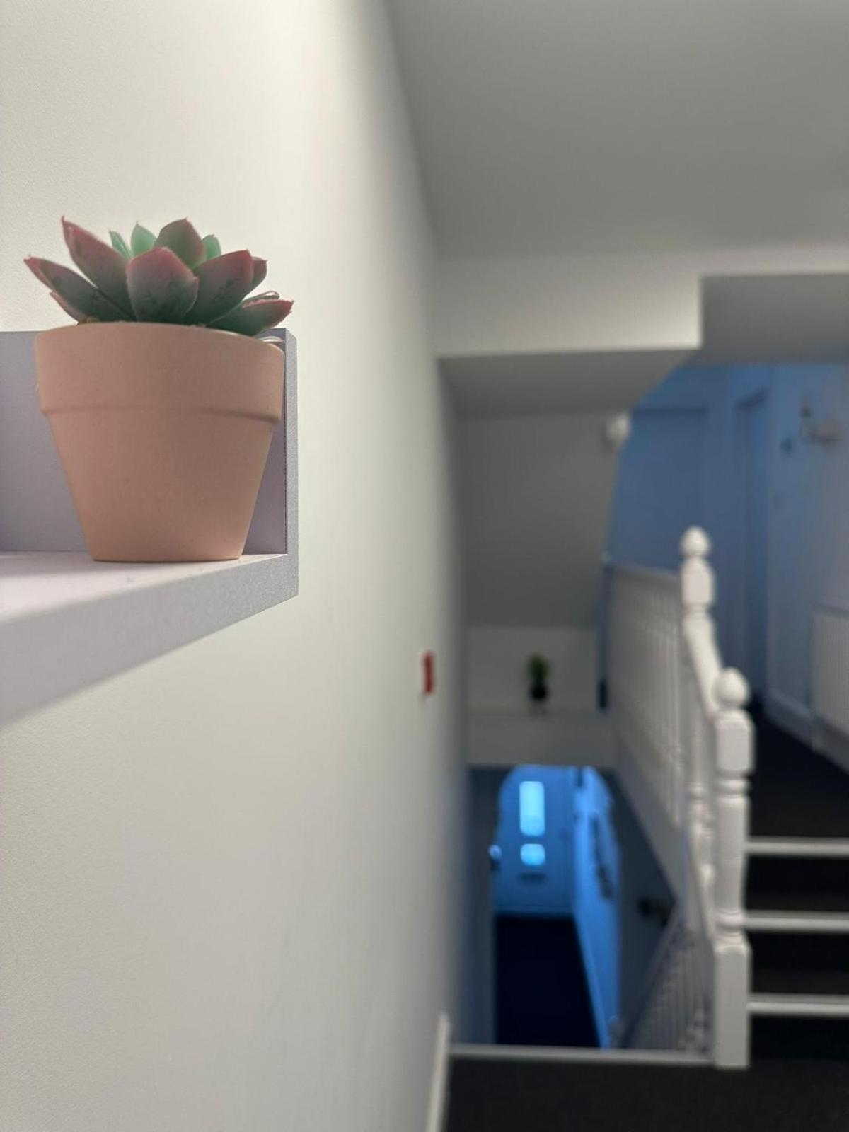 Cambridge Central Rooms - Tas Accommodations מראה חיצוני תמונה